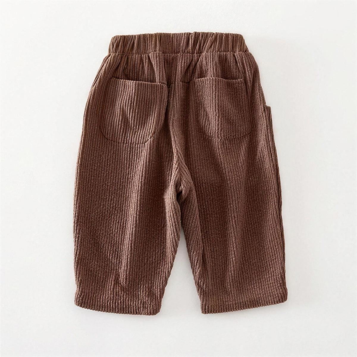 Brown Corduroy Pants - back view