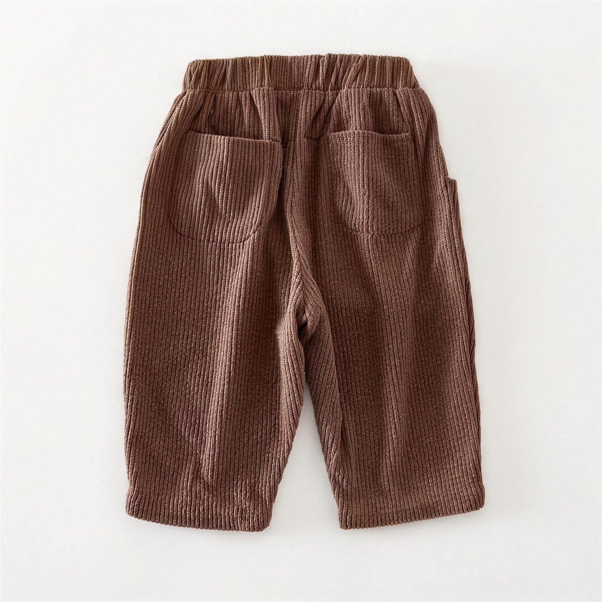 Brown Corduroy Pants - back view