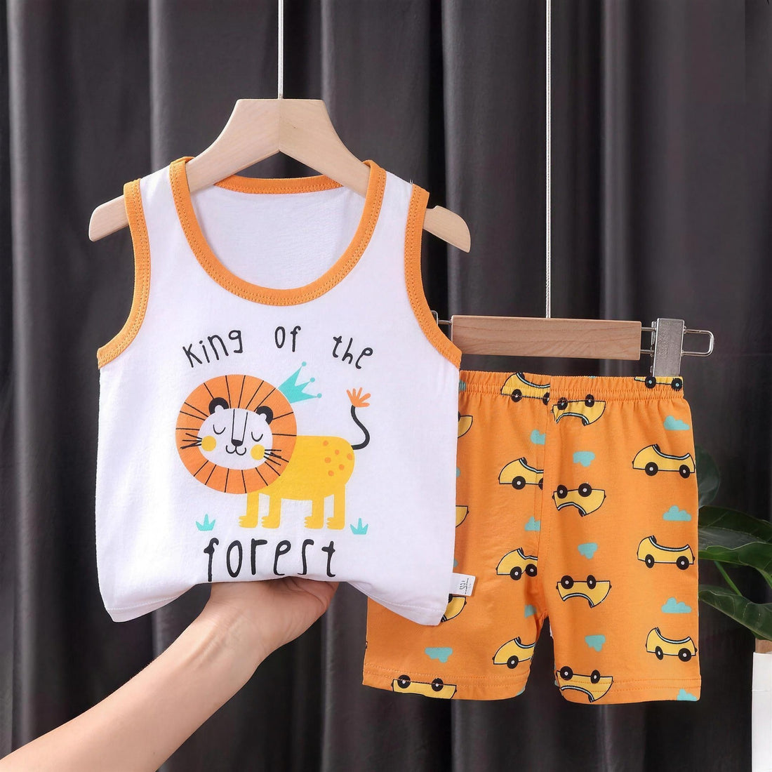 Lion Summer Set - professional studio photo