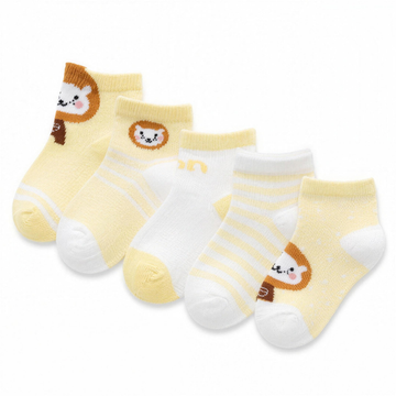 Golden Lion Sock Set - professional studio photo